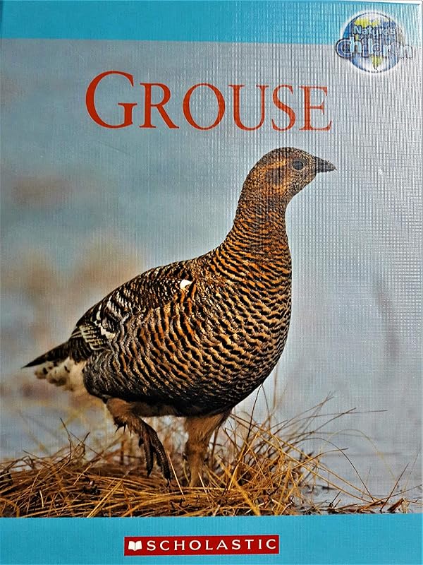 Grouse (Nature's Children) by Tim Harris