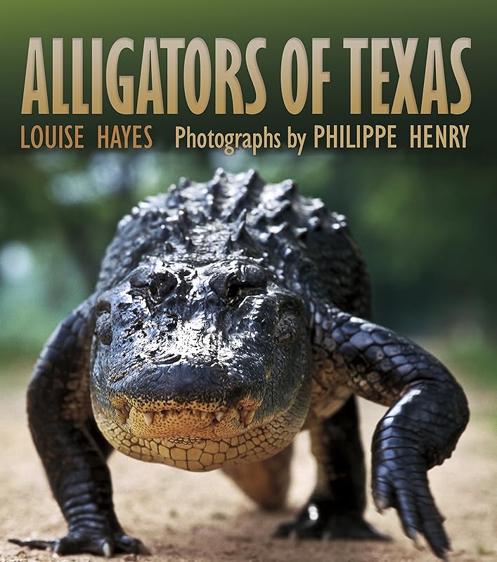Alligators of Texas (Gulf Coast Books, sponsored by Texas A&M University-Corpus Christi Book 29) by Louise Hayes