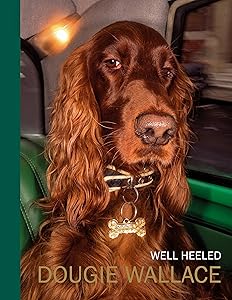 Well Heeled by Dougie Wallace