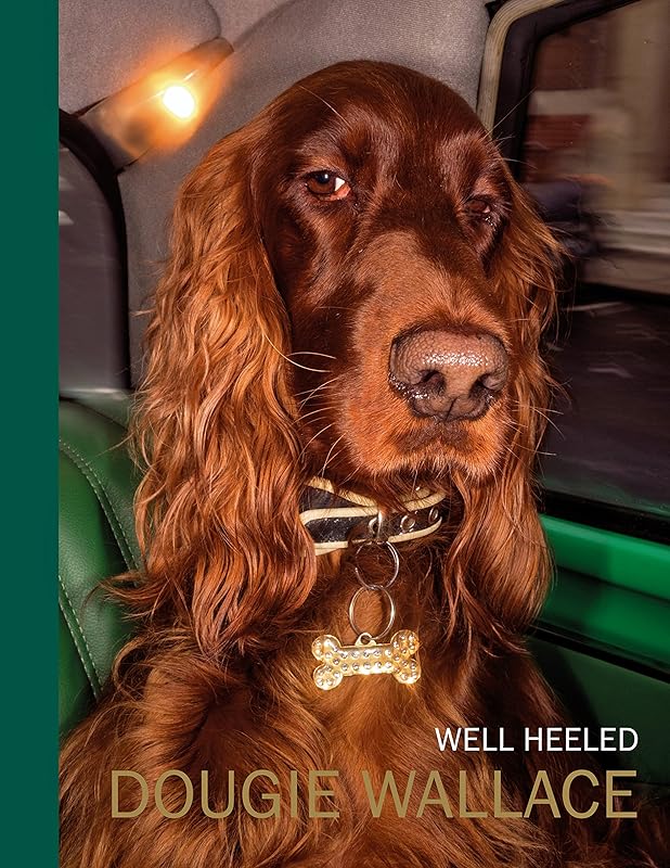 Well Heeled by Dougie Wallace