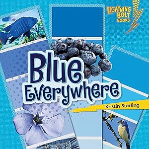Blue Everywhere by Kristin Sterling