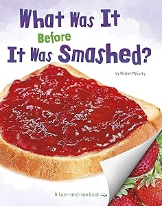 What Was It Before It Was Smashed? (What Was It?)