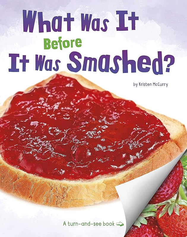What Was It Before It Was Smashed? (What Was It?) by Kristen McCurry