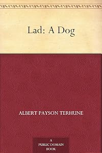 Lad: A Dog