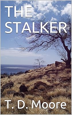 THE STALKER