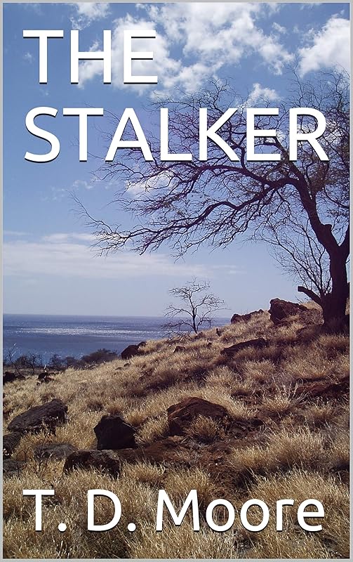 THE STALKER by T D. Moore