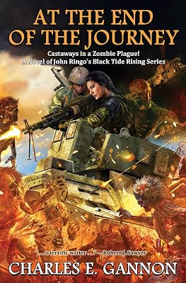 At the End of the Journey (Black TIde Rising Book 8)