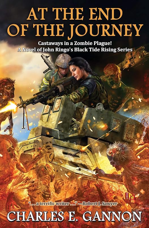 At the End of the Journey (Black TIde Rising Book 8) by Charles E. Gannon