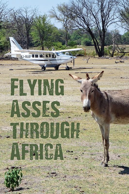 Flying Asses Through Africa by Jack Mitchell
