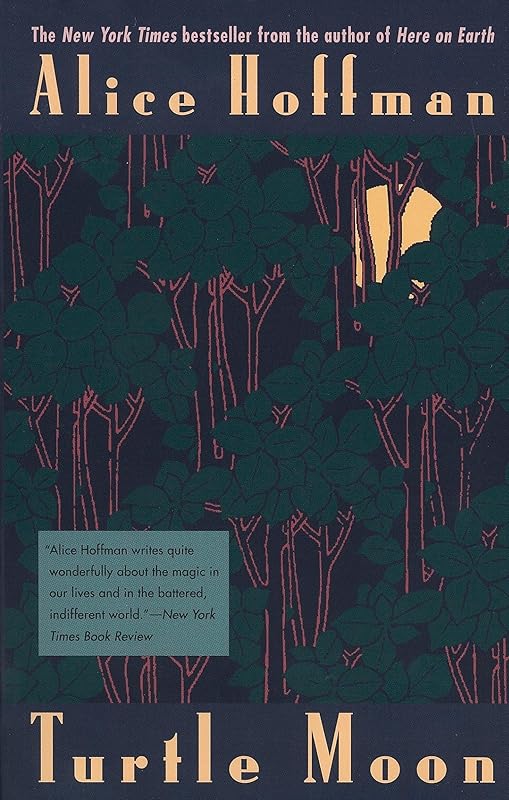 Turtle Moon by Alice Hoffman