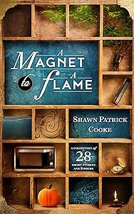 A Magnet to a Flame: A Collection of 28 Short Stories and 3 Poems by Shawn Patrick Cooke