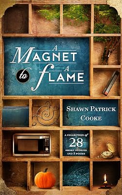 A Magnet to a Flame: A Collection of 28 Short Stories and 3 Poems