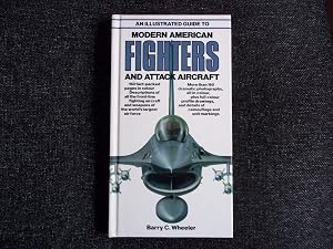 An Illustrated Guide to Modern American Fighters