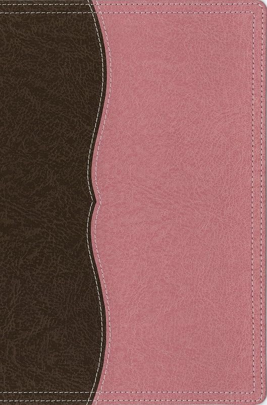 NIV Thinline Reference Bible (Italian Duo-Tone) by Zondervan