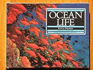 Ocean Life
