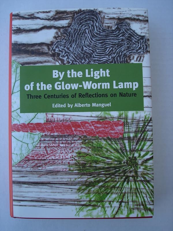 By The Light Of The Glow-worm Lamp by Alberto Manguel