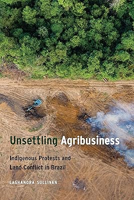 Unsettling Agribusiness: Indigenous Protests and Land Conflict in Brazil