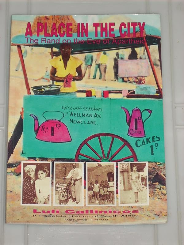 A Place in the City (People's History of South Africa) by Luli Callinicos