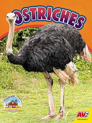 Ostriches (Animals on the Farm)