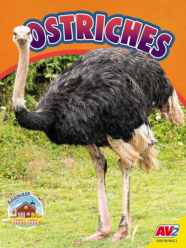 Ostriches (Animals on the Farm) by Sierra Wilson