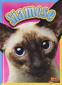 Siamese (Cat Stats) by Nicki Clausen-Grace