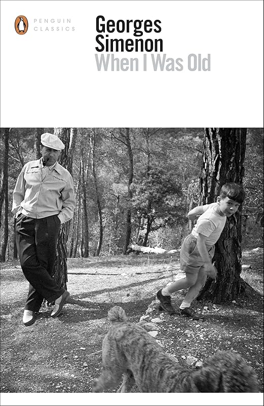 When I Was Old (Penguin Modern Classics) by Georges Simenon