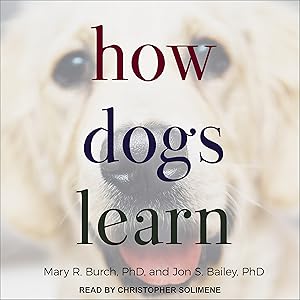 How Dogs Learn by Mary  R. Burch
