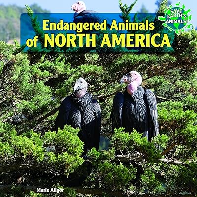 Endangered Animals of North America (Save Earth's Animals!)
