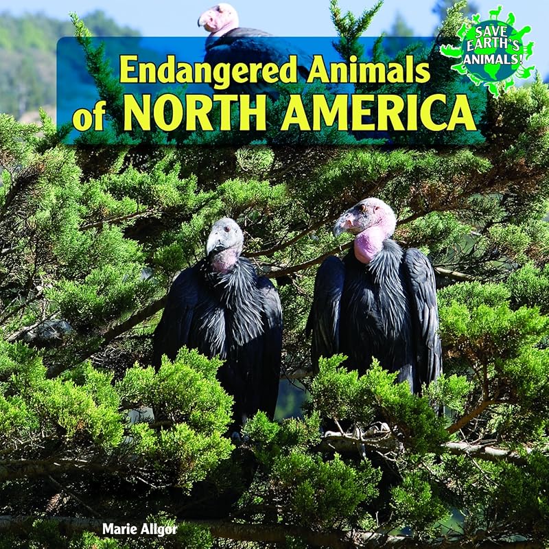 Endangered Animals of North America (Save Earth's Animals!) by Marie Allgor