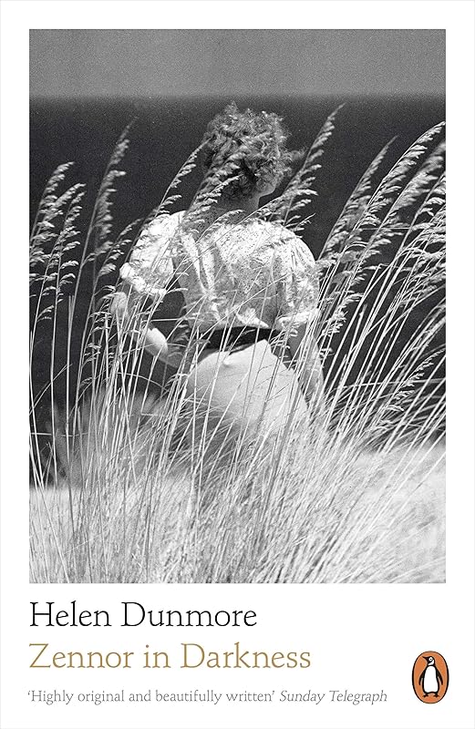 Zennor in Darkness: From the Women’s Prize-Winning Author of A Spell of Winter by Helen Dunmore