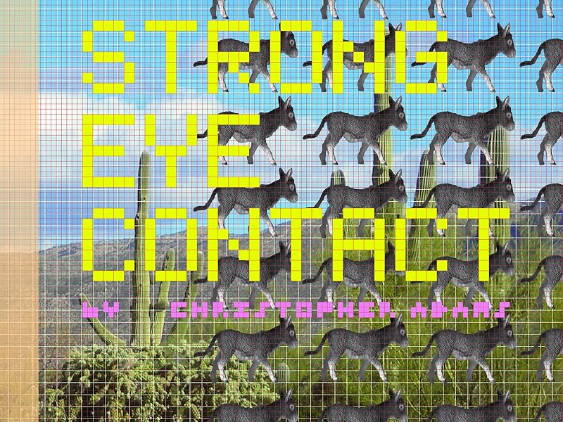 Strong Eye Contact by Christopher Adams