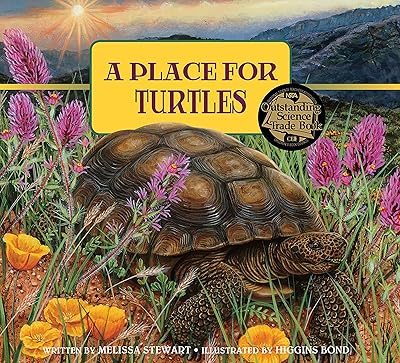 A Place for Turtles