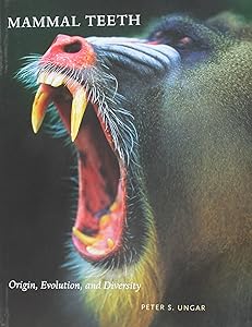Mammal Teeth: Origin, Evolution, and Diversity by Peter S. Ungar