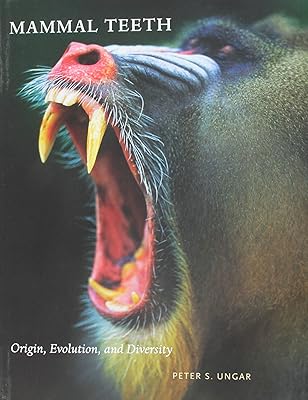 Mammal Teeth: Origin, Evolution, and Diversity