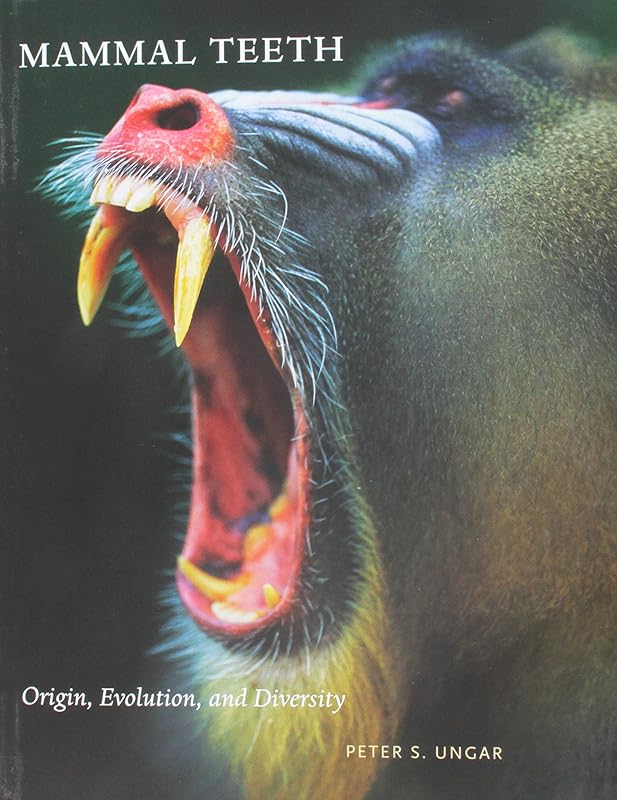 Mammal Teeth: Origin, Evolution, and Diversity by Peter S. Ungar