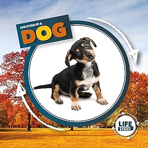 Life Cycle of a Dog (Life Cycles)