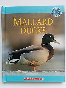 Mallard Ducks by Amy-Jane Beer 2008, Hardcover Hardcover Amy-Jane Beer