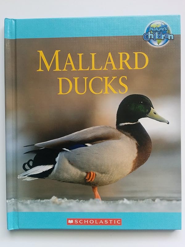 Mallard Ducks by Amy-Jane Beer 2008, Hardcover Hardcover Amy-Jane Beer by Amy-Jane Beer