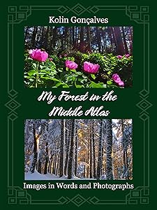 My Forest in the Middle Atlas: Images in Words and Photographs by Kolin Goncalves