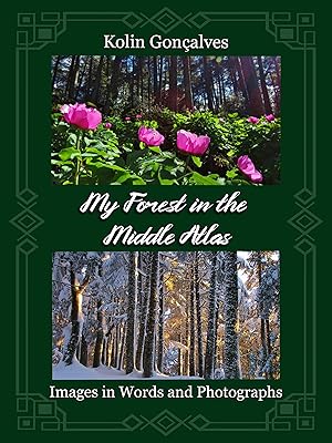 My Forest in the Middle Atlas: Images in Words and Photographs