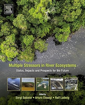 Multiple Stressors in River Ecosystems: Status, Impacts and Prospects for the Future