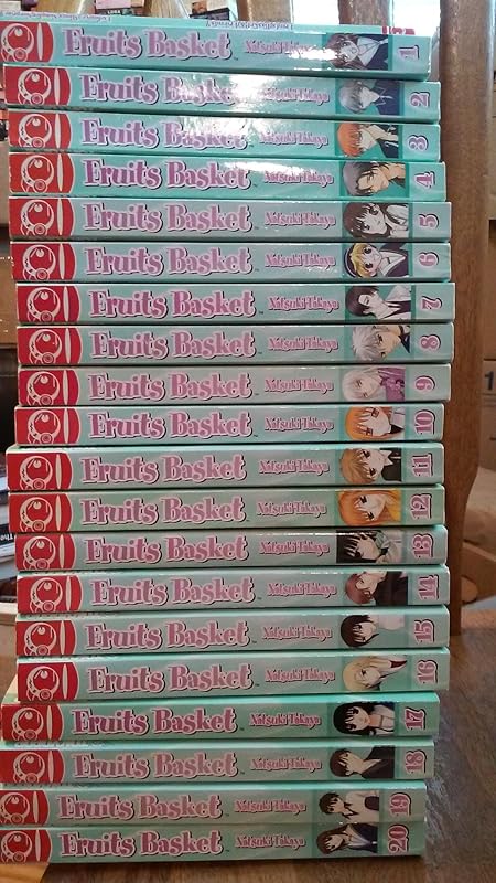 Fruits Basket, Vol. 1 by Natsuki Takaya