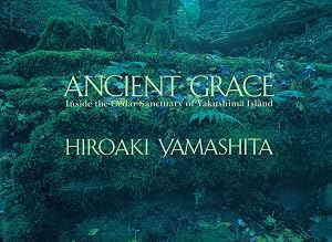 Ancient Grace: Inside the Cedar Sanctuary of Yakushima Island by Hiroaki Yamashita