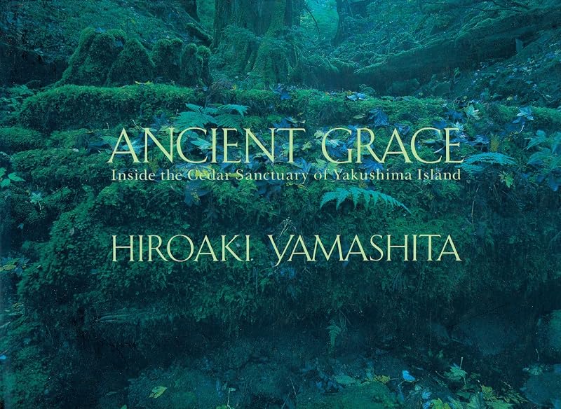 Ancient Grace: Inside the Cedar Sanctuary of Yakushima Island by Hiroaki Yamashita