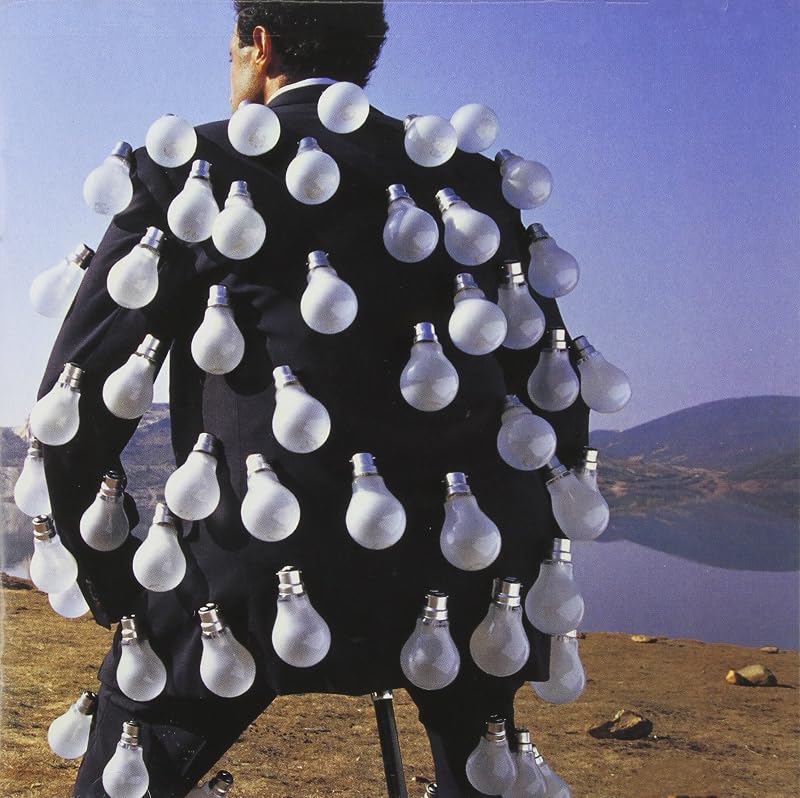 Delicate Sound of Thunder by Pink Floyd