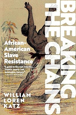 Breaking the Chains: African American Slave Resistance