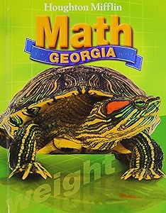Houghton Mifflin Mathmatics Georgia: Student Edition Level 4 2007