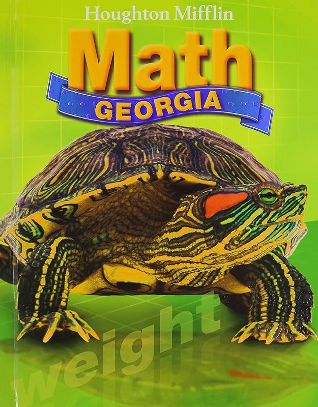 Houghton Mifflin Mathmatics Georgia: Student Edition Level 4 2007 by HOUGHTON MIFFLIN