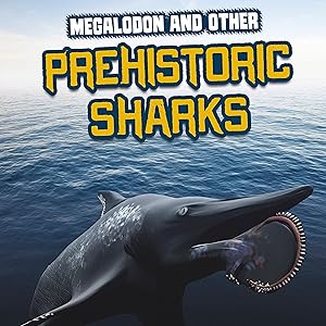 Megalodon and Other Prehistoric Sharks: Sharks Close-Up