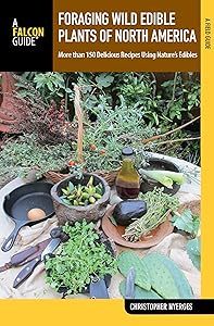 Foraging Wild Edible Plants of North America: More than 150 Delicious Recipes Using Nature's Edibles (Foraging Series) by Christopher Nyerges